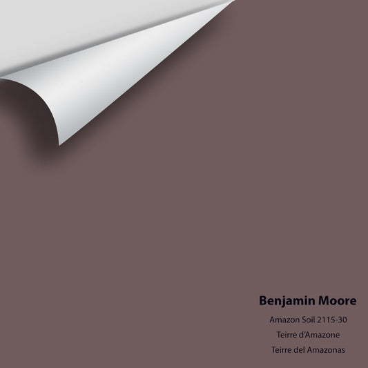 Benjamin Moore - Amazon Soil 2115-30 Colour Sample