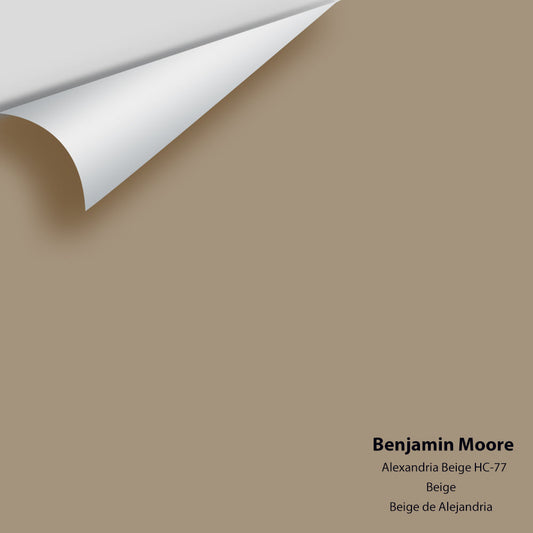 Benjamin Moore - Alexandria Beige HC-77 Colour Sample