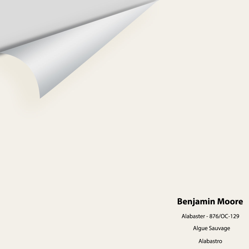 Benjamin Moore - Alabaster 876 / OC-129 Colour Sample