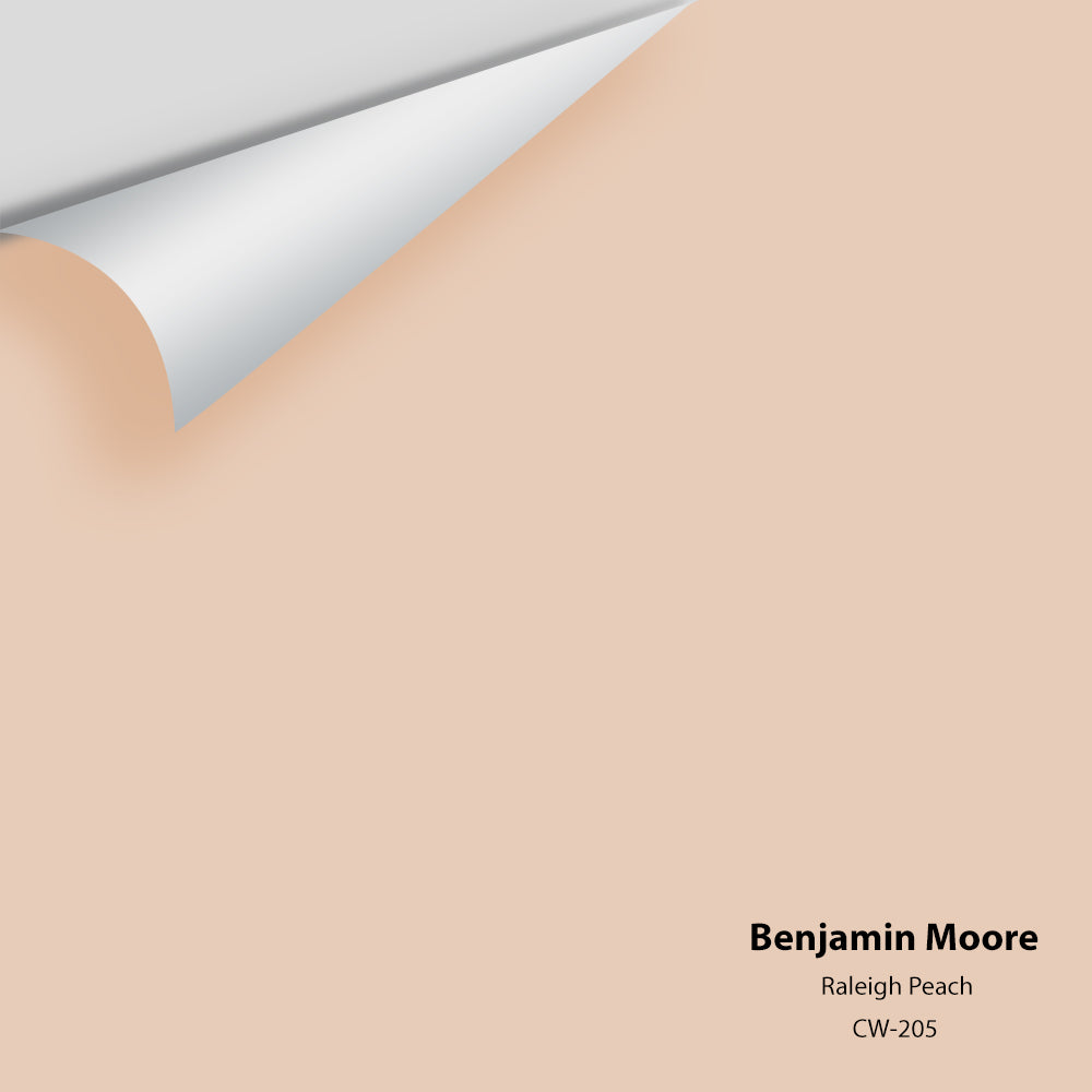 Benjamin Moore - Raleigh Peach CW-205 Colour Sample