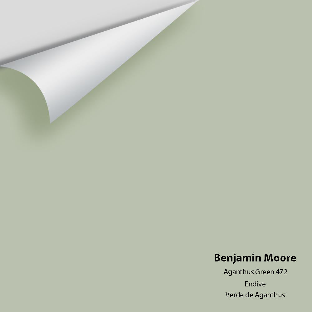 Benjamin Moore - Aganthus Green 472 Colour Sample