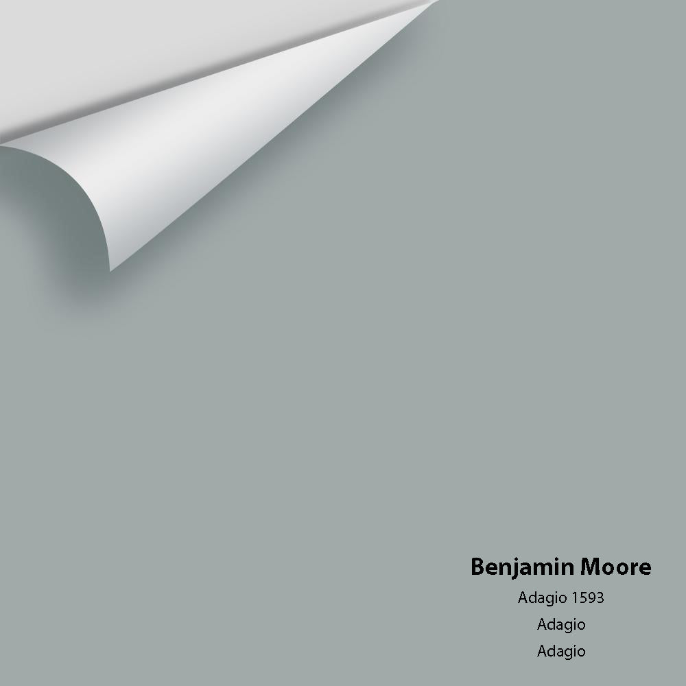 Benjamin Moore - Adagio 1593 Colour Sample