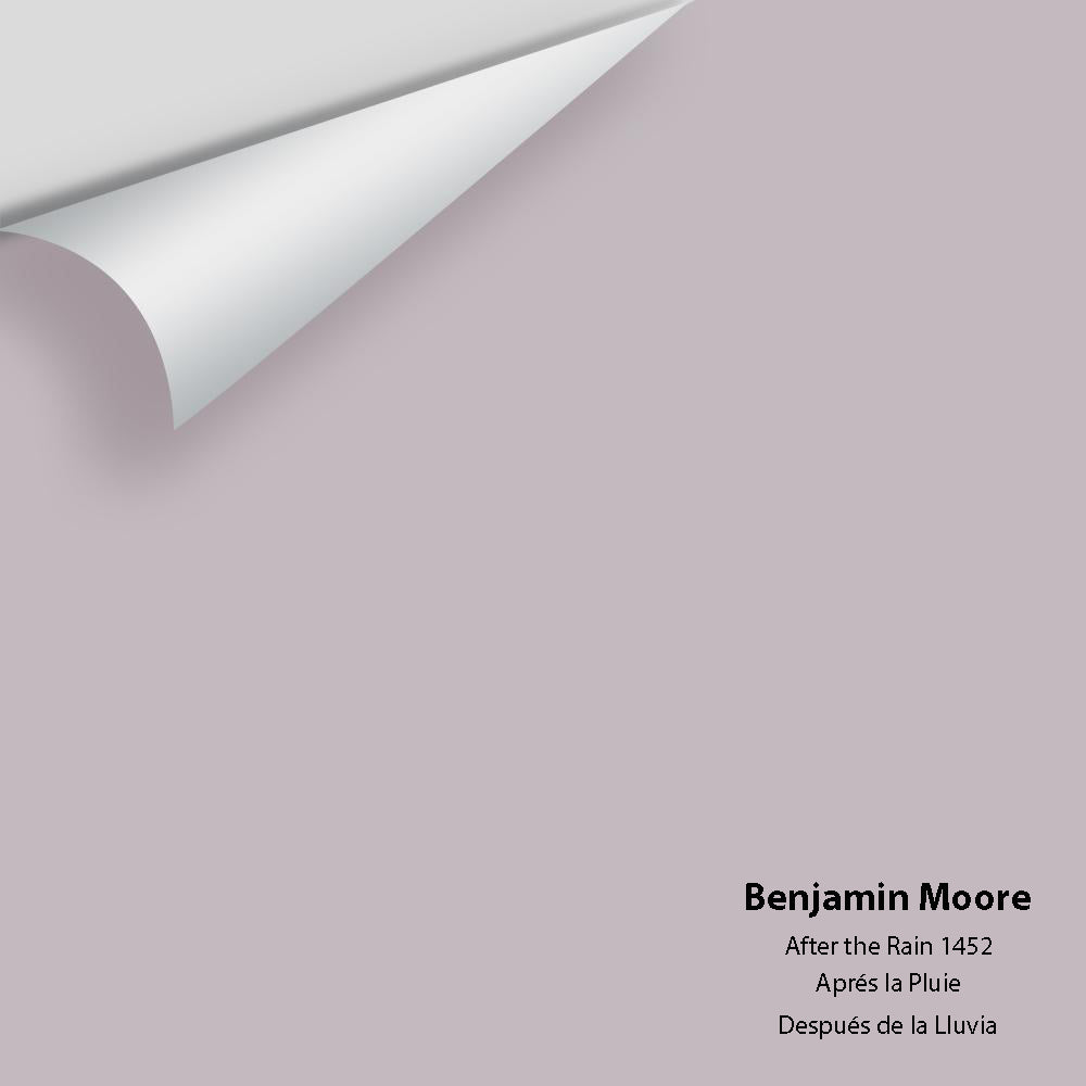 Benjamin Moore - After the Rain 1452 Colour Sample