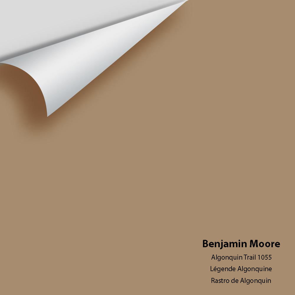 Benjamin Moore - Algonquin Trail 1055 Colour Sample