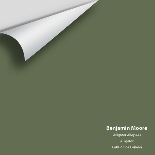 Benjamin Moore - Alligator Alley 441 Colour Sample